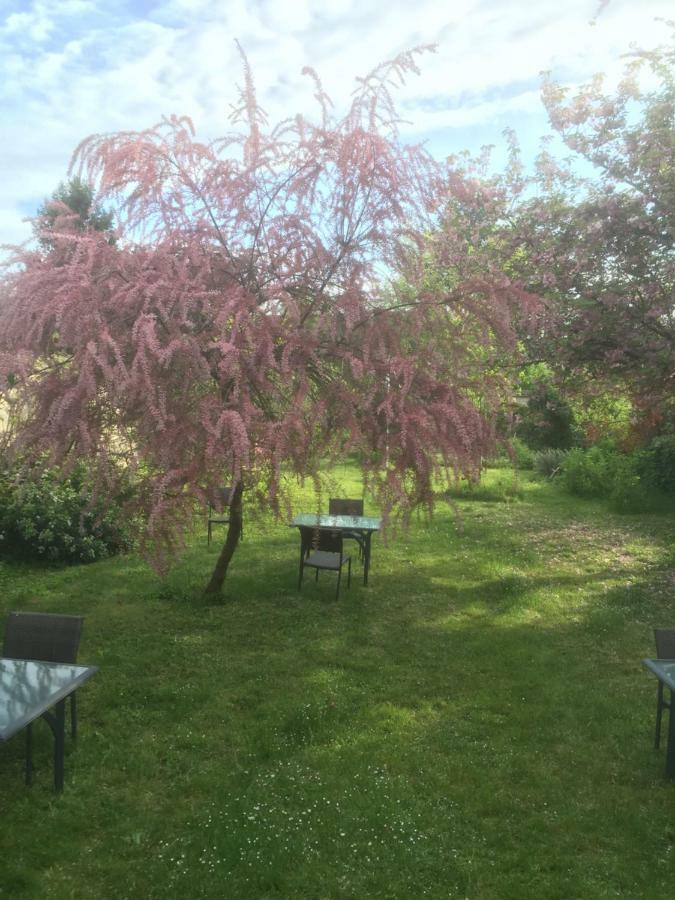 Le Clos Tilia Bed and Breakfast Cléry-Saint-André Esterno foto