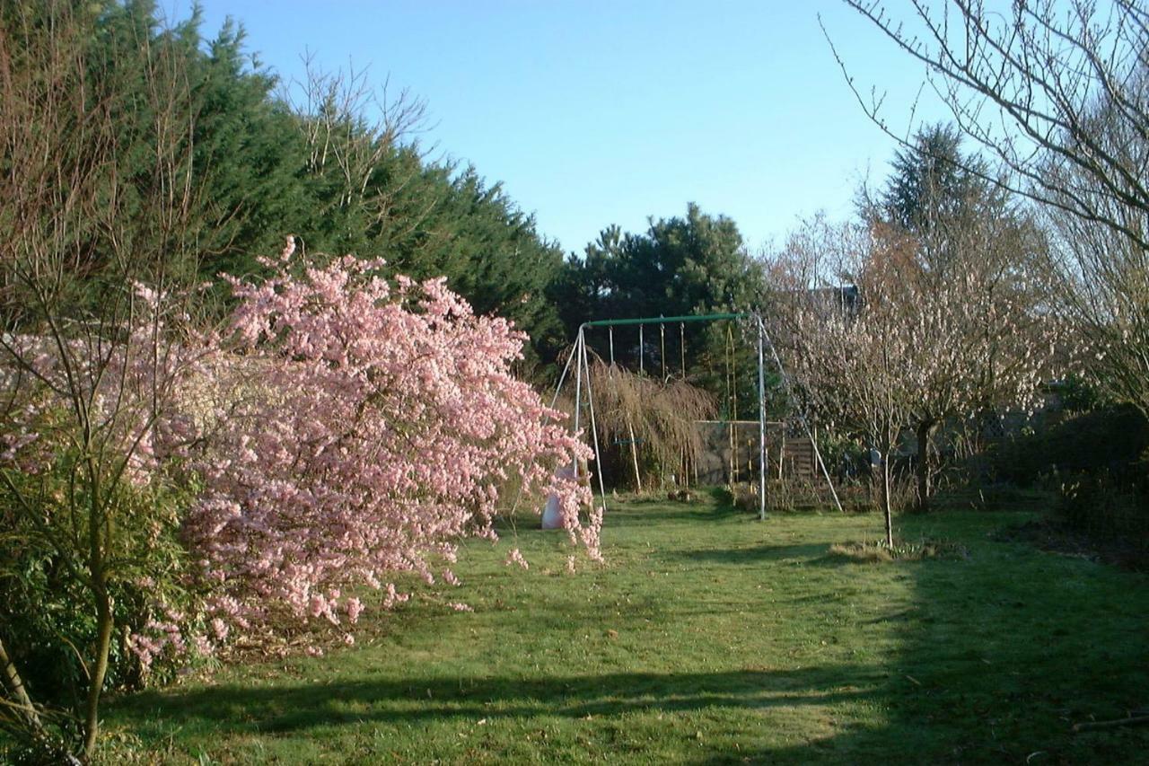 Le Clos Tilia Bed and Breakfast Cléry-Saint-André Esterno foto