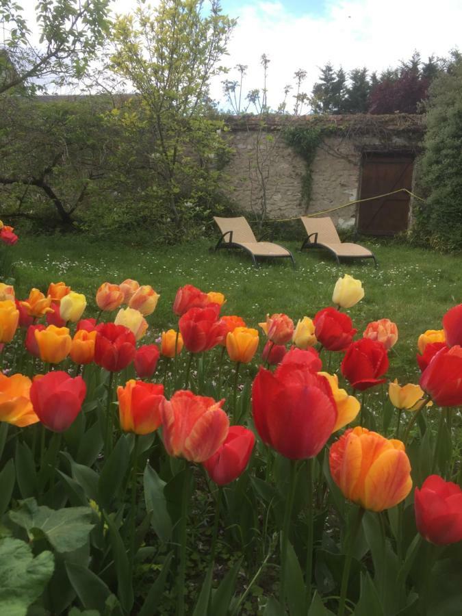 Le Clos Tilia Bed and Breakfast Cléry-Saint-André Esterno foto